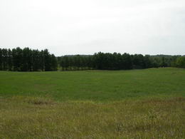 Lovely 2.5 Acres in Mono - Country Homes for sale and Luxury Real Estate in Caledon and King City including Horse Farms and Property for sale near Toronto
